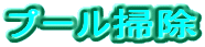 �v�[���|��