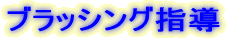 �u���b�V���O�w��