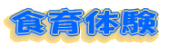 �H��̌�