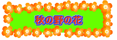 秋の野の花