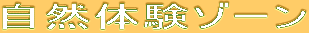 ���R�̌��]�[��